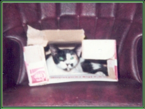 Pillsbury
