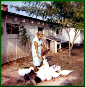 my mother feeding ducks