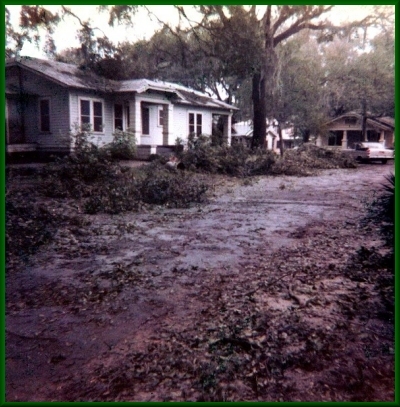 a wet street and leaves in Jacksonville after Hurricane Dora