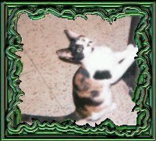 Pillsbury