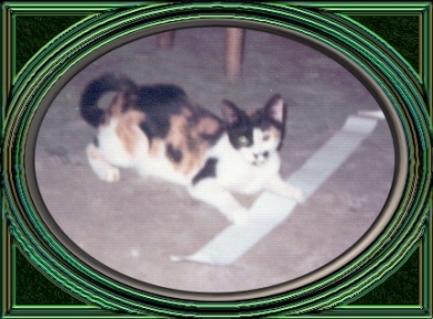 Pillsbury