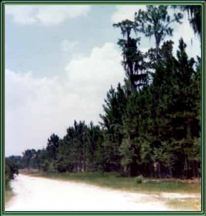 The road where I lived on Big Lake Santa Fe